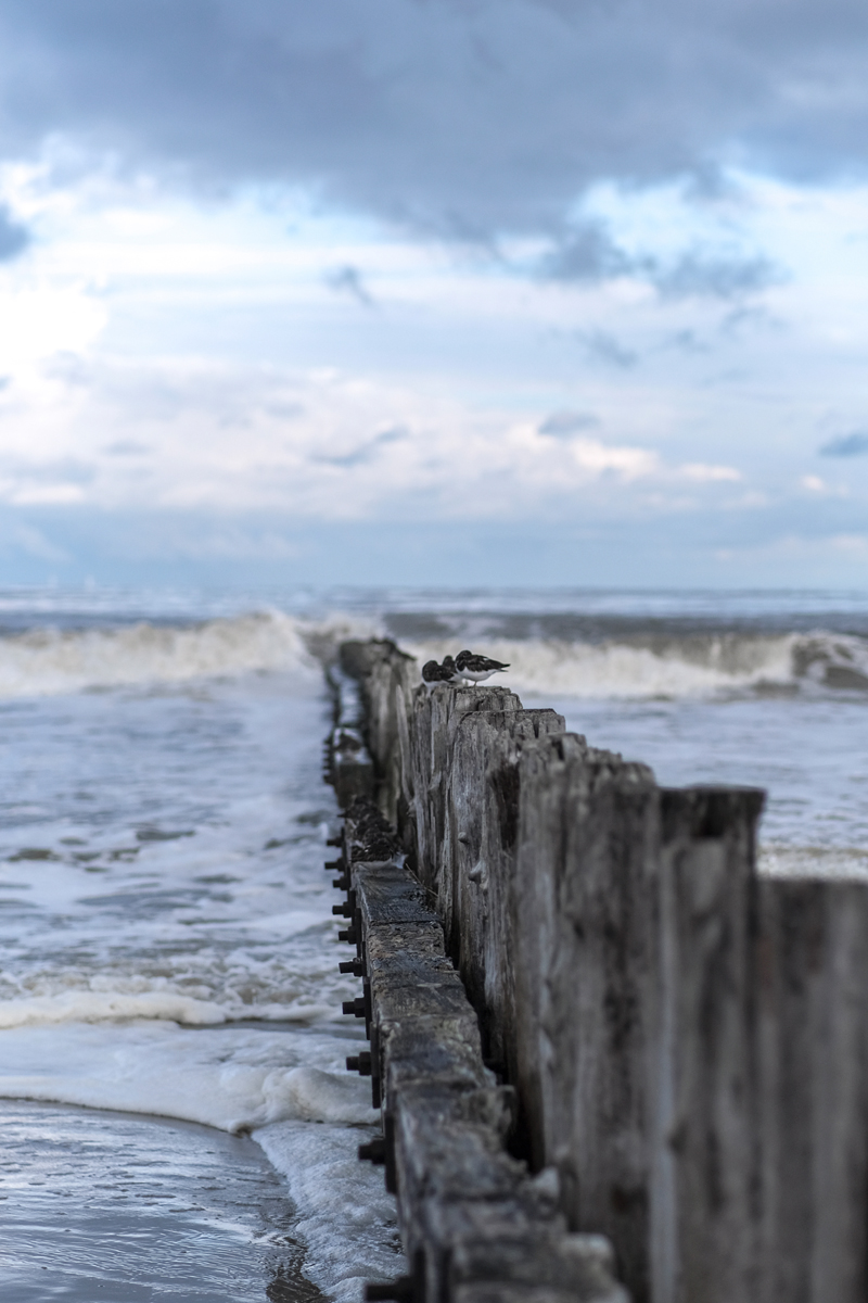 Bilderwand Urlaub An Der Nordsee. Poster Hier Entdecken!