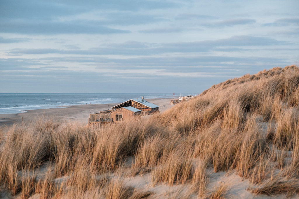 Die Dünen von Texel mit dem Blick auf ein Strandpavillion am Strand