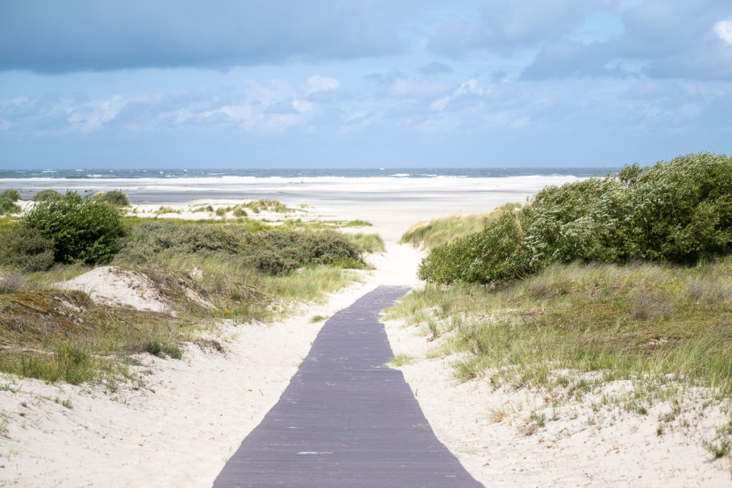 Blick auf die Dünen, das Meer und einem Weg zum Strand auf der Nordseeinsel Borkum