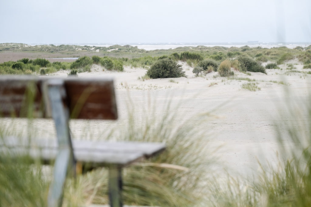 Blick auf die Dünen, das Meer und einem Weg zum Strand auf der Nordseeinsel Borkum